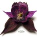 Orchid flower brooch hand felted
