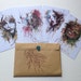 Limited Edition Winter Pack of 4 Unique Matt Postcards