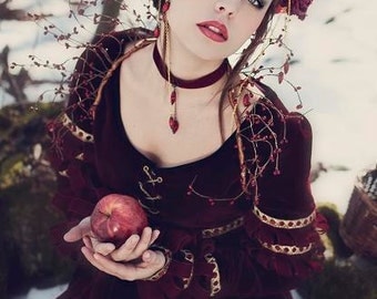 Made by Order: Medieval Renaissance red dress Snow white costume cosplay high quality