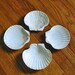 Reserved for Kate Lamsom 4 XL White SCALLOP Sea SHELLS Sun Bleached, 6 Inches Wide, Perfect Party Dip Accessories, Earring or Ring Dishes