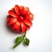 Vintage 1960s Bright Orange & Red Metal Enamel Flower Brooch - Flower Power Accessory - Extra Large Flower and Stem