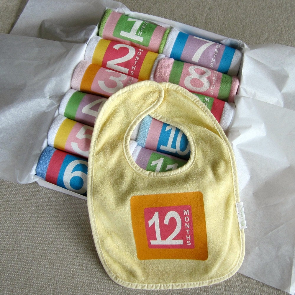 birthday bibs set of 12 monthly baby bibs