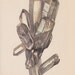Vintage Print Rocks and Minerals, Quartz Crystals