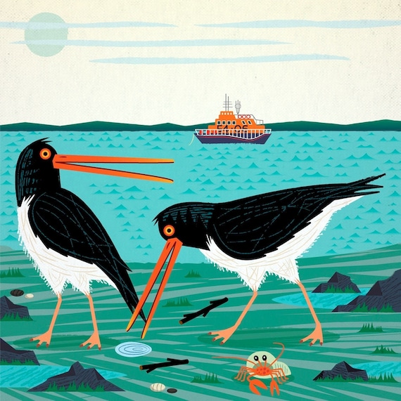 The Oystercatchers - Animal Art - Wildlife Print by Oliver Lake - iOTA iLLUSTRATiON