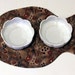 Cat Food and Water Bowl Fish Mat