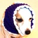 Knitted Purple Dog Hoodie