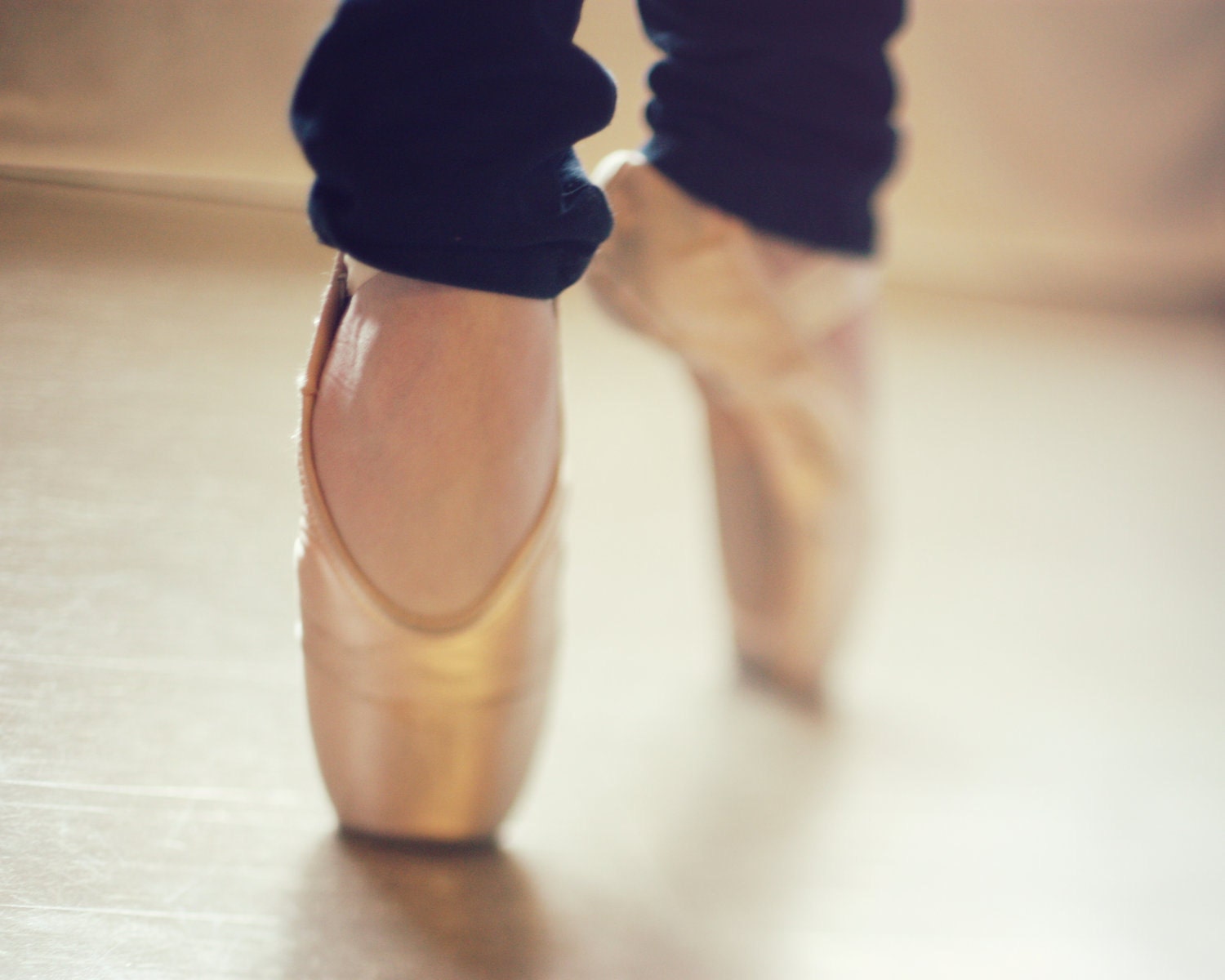 Ballet Shoes II 8x10 Fine Art Photograph Pointe Shoes