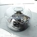 Vintage Glass Dome with Silver Plate