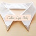 LAST PAIR - Silver Metal Collar Tips