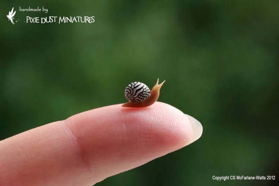 Items similar to Zebra Snail - GARDEN RANGE on Etsy