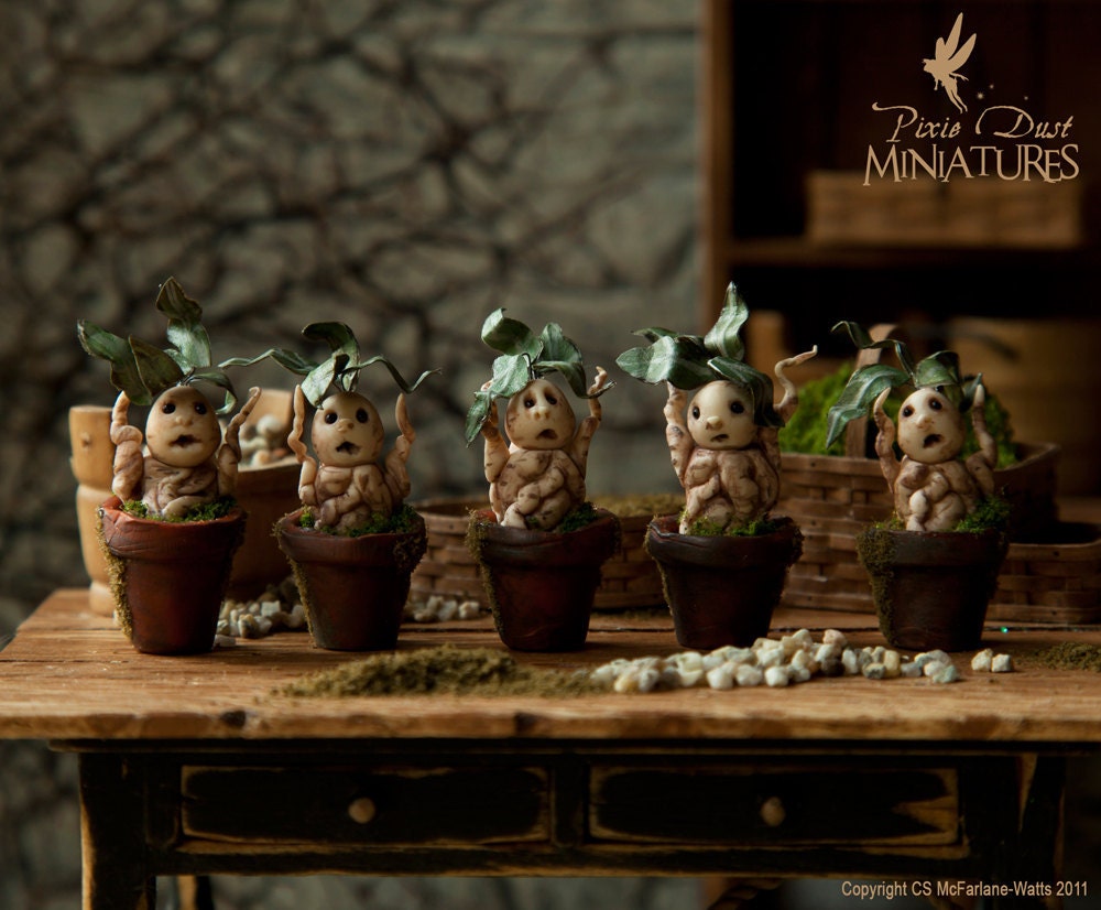 Mandrake Seedling WIZARD / FAIRYTALE RANGE