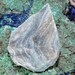Brazilian Chalcedony Druzy Cabochon J13B7159