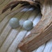 grey post earrings
