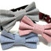 Bowtie Dog Collar- Choose Black, Red or Navy Seersucker