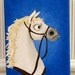 Tangled - Maximus the horse