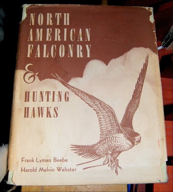 North American Falconry and Hunting Hawks Frank L. Beebe