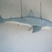 Shabby Chic Shark