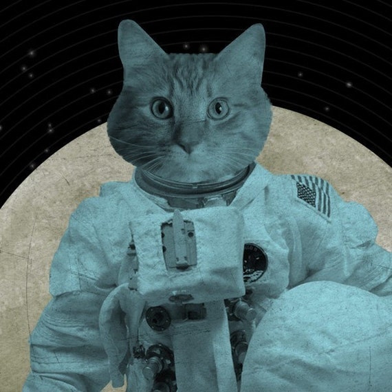kitten astronaut