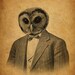 Owl in a Suit Portrait 8x10 Art Print