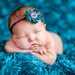 Reseved Backdrop fabric Peacock teal Newborn posing fabric photo prop