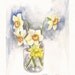 Narcissus in a Glass Jar, Original Watercolor 8"x10"