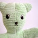 Cuddle Bug pale green teddy bear