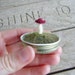 Felted red amanita mushroom in an upcycled lid