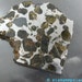 METEORITE Brahin. IRoN Pallasite METEORITE. 33.1 grams. Russia Polished Slice- with Olivine Crystals (met 100)