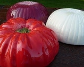 Salsa Set of 3- tomato, white onion, red onion