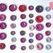 Vintage buttons - assorted purple buttons