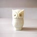 Little Vintage Avon Owl Bottle