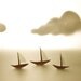 Sailing along together 12x16 - Reserved