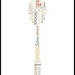 Spoon Word Art Print 8x10