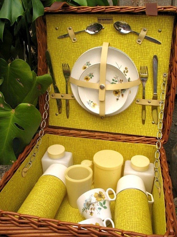vintage brexton picnic set