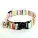 Bright Stripe Breakaway Cat Collar