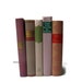 Pink Taupe Collection Vintage Books by Color Instant Collection of Decorative Books for Wedding Decor, Home Decor, and Photography P