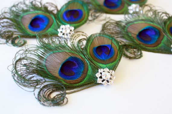 Peacock Hair Clips Set Of 4 Peacock Bridesmaid Fascinators