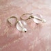 clear glass ball earrings