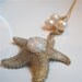 Vintage Pendant, Necklace, Repurposed Starfish - Upcycled, Recycled, Beach Wedding Fashion