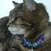 Pretty Kitty Blue Pandora Style Beaded Leather Cat Collar Necklace