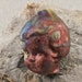 German Style Girl Doll Head in raku