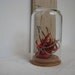 Dollhouse Red Coral -Seahorse - Seaweed Display Dome - One Inch Scale