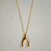 Lucky Wishbone Necklace