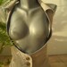 Bodice with two faces