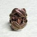 Hidden Ram Ring reserved for donna ireland