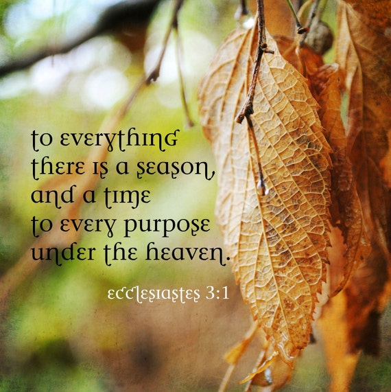 Items similar to Scripture Art Print Ecclesiastes 3 1 Everything Season ...