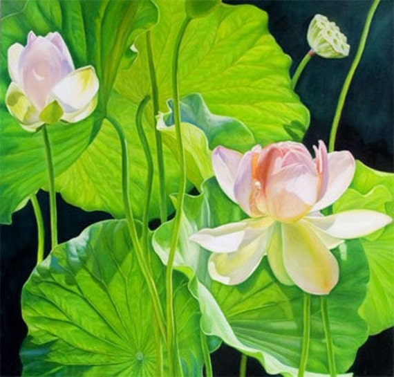 Morning Light 36x36 Lotus Flower Original Oil Painting