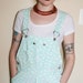 Minty Blue Floral Overalls
