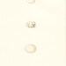 Antique 1863 Nuthatch, Woodpecker, Bird Eggs Print by BREE Book Plate