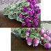 DRIED FLOWERS Purple Globe Amaranth and Bi Colored Pink Floral Lovely for Wedding Prim Crafts